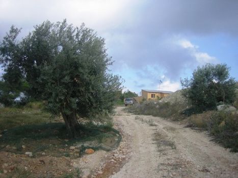 Riesiges Grundstück von 18000 m in Benissa