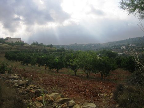 Enorme Parcela de 18000 mts en Benissa